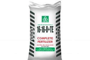 BAO BI PP KHÔNG TRÁNG IN FLEXO 