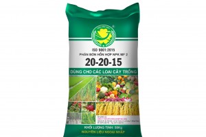 BAO PP DỆT GHÉP MÀNG BOPP 2 MẶT