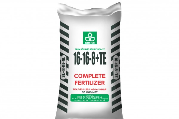 BAO BI PP KHÔNG TRÁNG IN FLEXO  